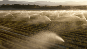 Feldbewässerung in der Landwirtschaft