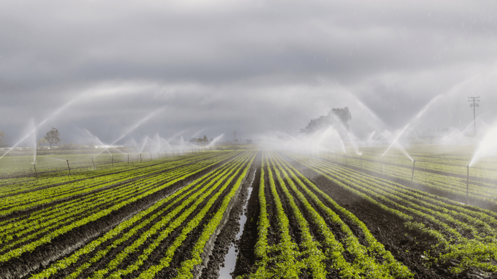 Bewässerungssysteme zur Anpassung an den Klimawandel in der Landwirtschaft